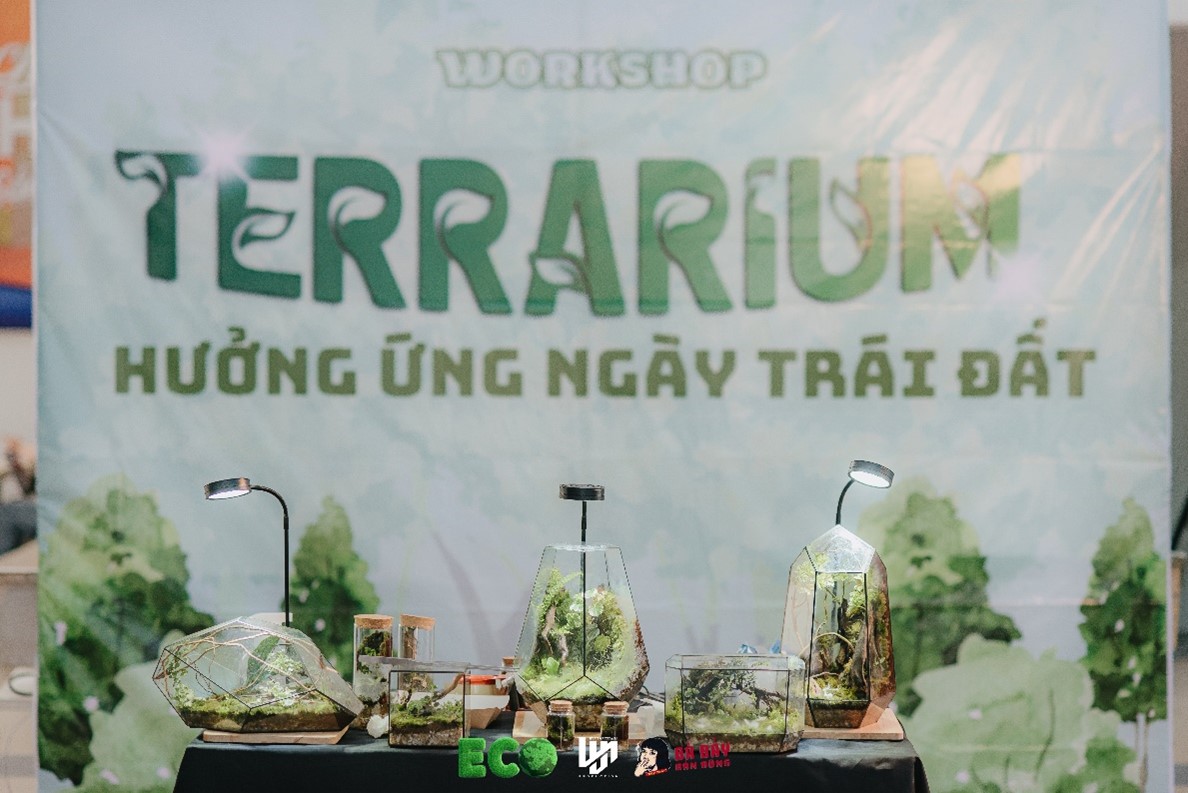 terrarium 1